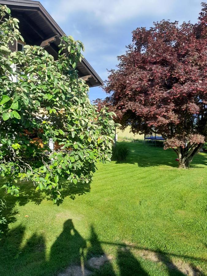 Apartament Ewald'S Panoramablick Feldkirchen in Kärnten Zewnętrze zdjęcie